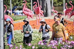 BIB: 
                            <button type="button" onclick="openModal(27793273)" class="btn btn-primary btn-sm float-right btn-popup" data-toggle="modal" data-target=".modal-high-quality">
                        <i class="fas fa-shopping-cart"></i> Add to Cart
                    </button>
                                            <button type="button" onclick="isThisMe(27793273, true)" class="btn btn-success btn-sm float-right btn-popup btn-isme hidden" data-toggle="tooltip" data-placement="bottom" title="นี่คือรูปของคุณใช่ไหม คลิกที่นี่เพื่อเอาเข้าอัลบั้ม">
                        <i class="fas fa-plus"></i> Add to album
                    </button>
                    <button type="button" onclick="isThisMe(27793273, false)" class="btn btn-warning btn-sm float-right btn-popup btn-isnotme hidden">
                        <i class="fas fa-ban"></i> Remove from album
                    </button>